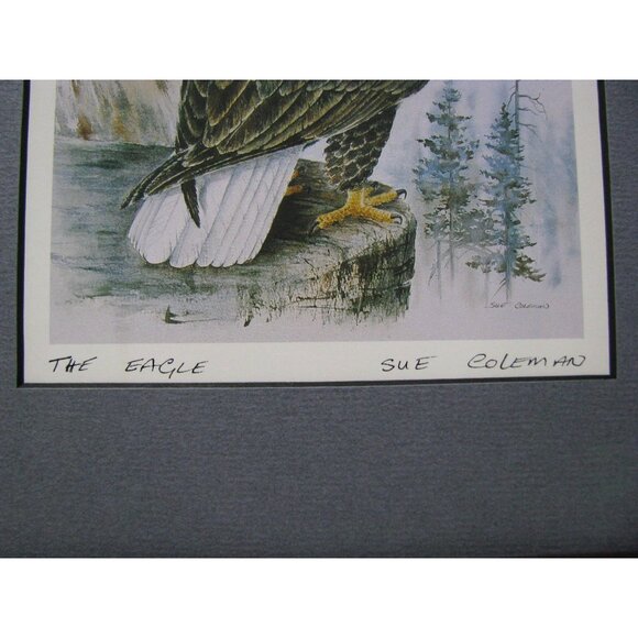 Sue Colemans "The Eagle" Framed Art Print - Picture 4 of 12